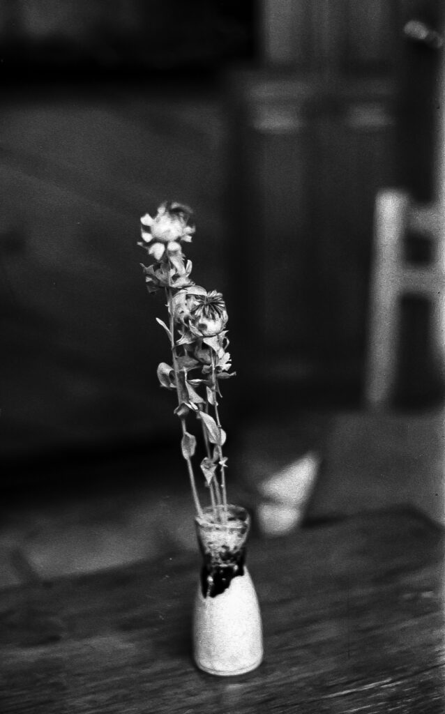 img20250928 12010151 copy